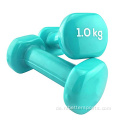 Buntes Gusseisen billige Gewichte Neoprene Dumbbell Set